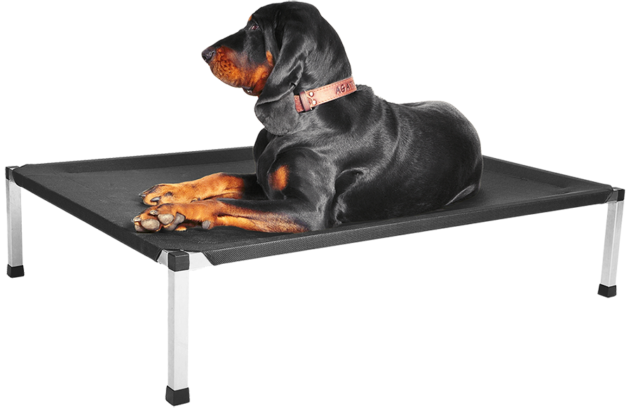 Agatka na cernem web pgn